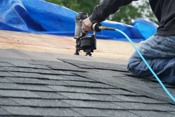 Best Shingle Roofing Installation  in Tea, SD