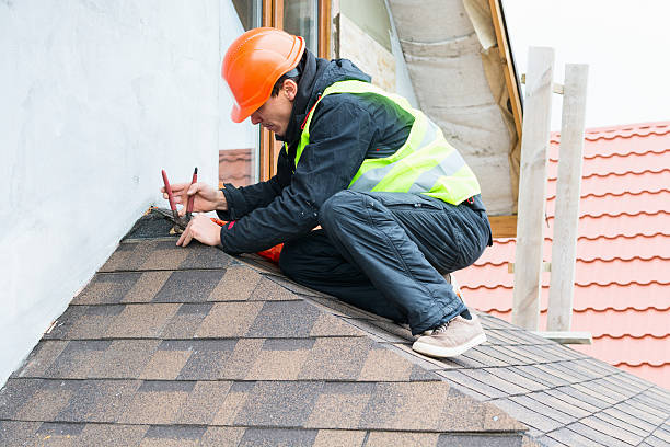 Best Local Roofing Companies  in Tea, SD